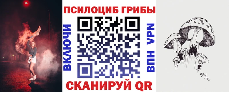 Купить где  Курчатов  Псилоцибиновые грибы прущие грибы 