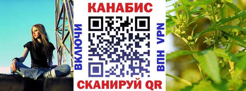 Купить где  Курчатов  МАРИХУАНА SATIVA & INDICA 